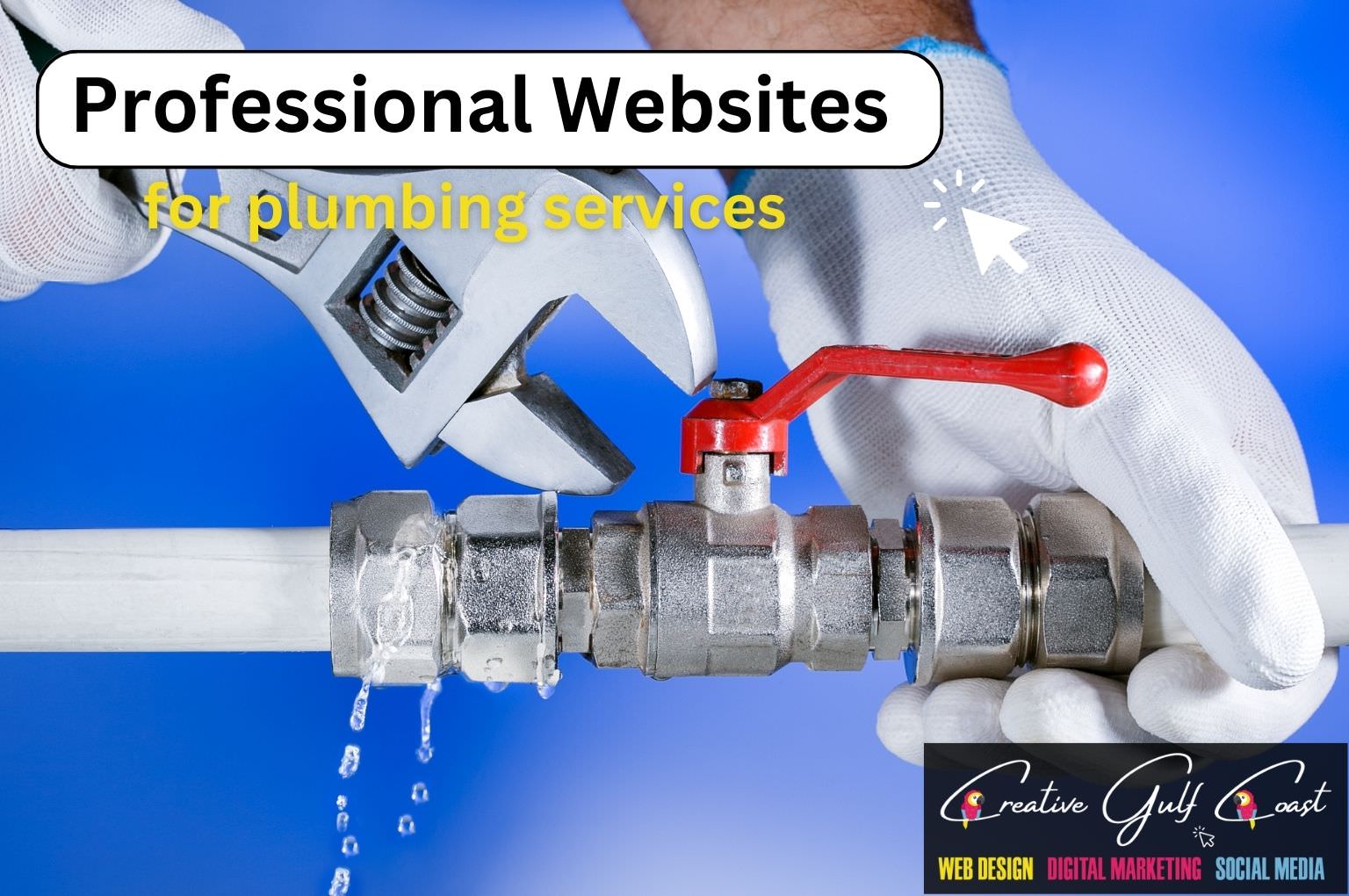 Website Designer for local plumbing services in Tampa Florida and beyond. Professional Marketing Agency Creative Gulf Coast